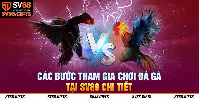  Các bước tham gia chơi đá gà tại SV88 chi tiết