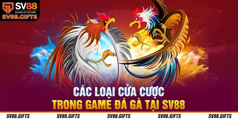 Các loại cửa cược trong game đá gà tại SV88